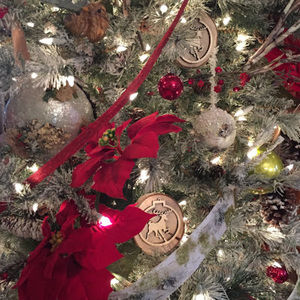 Meet your Posher, Julie